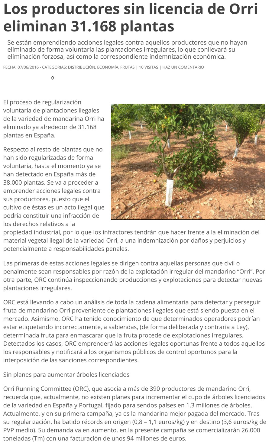 noticia-eliminan-31168-plantas-02