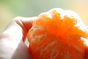 La cv comercializa 9880 toneladas de mandarina orri